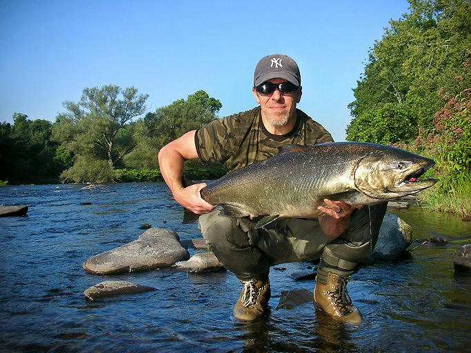 Confirmation De Montaison De Saumons Dans La Ch?teauguay. Les grands