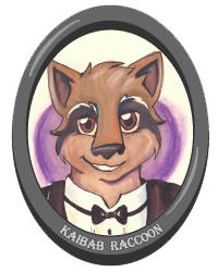 Kaibab Raccoon