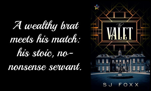 S.J. Foxx - The Valet Teaser Graphic