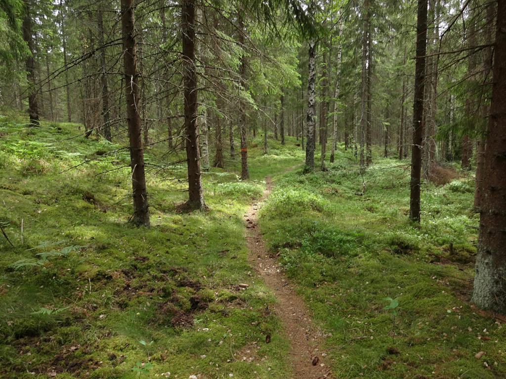 Rickard Dahl s Blog V stra V tterleden Walk 9 Unden s Stora 