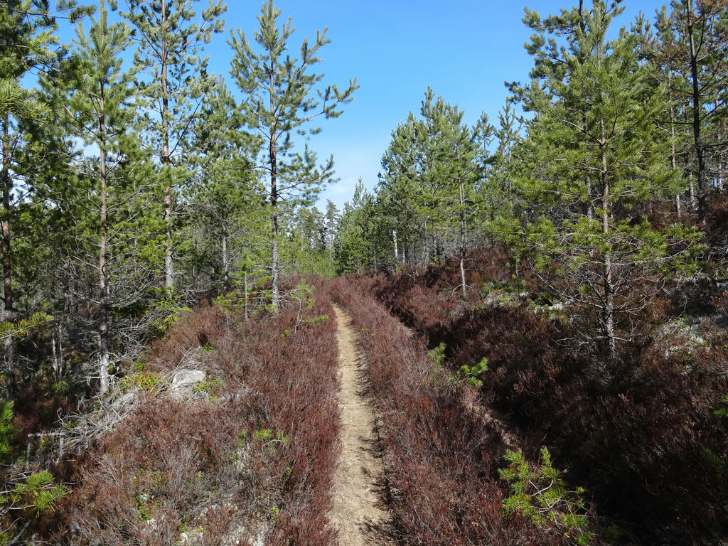 Rickard Dahl s Blog V stra V tterleden Walk 5 Fagerhult H kens s 