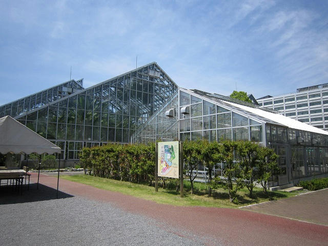 写真（筑波実験植物園その1）