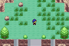 [PokeCommunity.com] Pokemon Hollow Mysteries