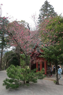 写真（伊豆山神社その7）