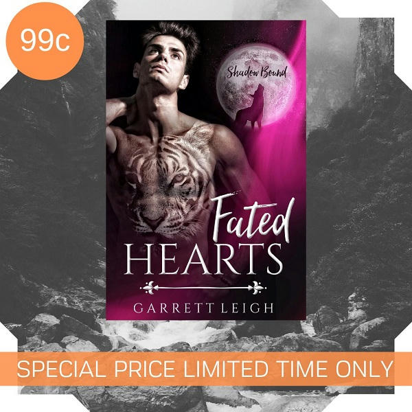 Garrett Leigh - Fated Hearts special Price Promo