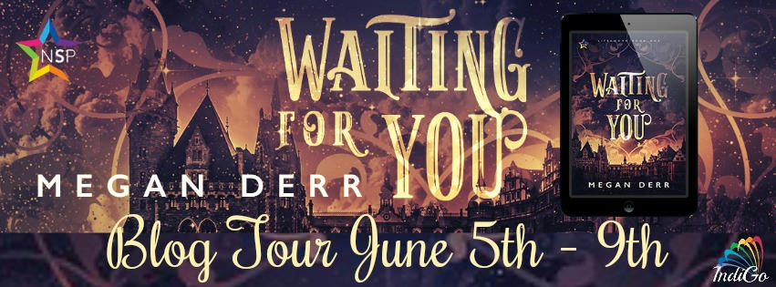 Megan Derr - Waiting for You BT Banner