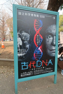 写真（国立科学博物館その1）