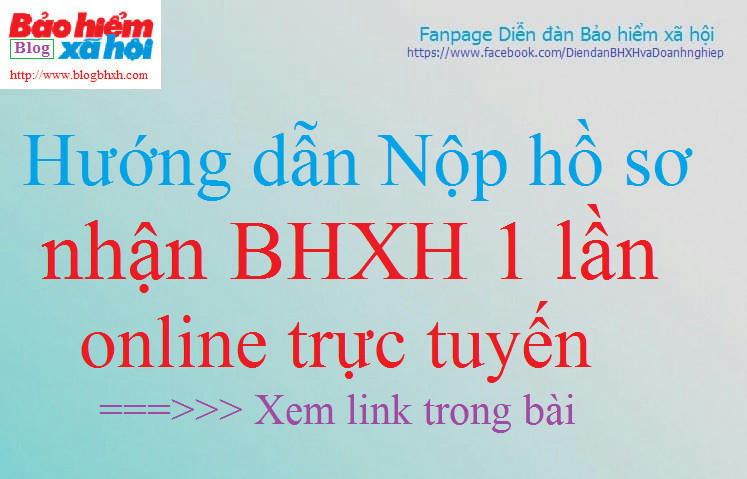 Nop BHXH 1 lan online.jpg