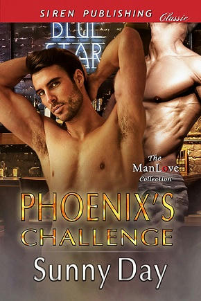 Sunny Day - Phoenix's Challenge Cover 