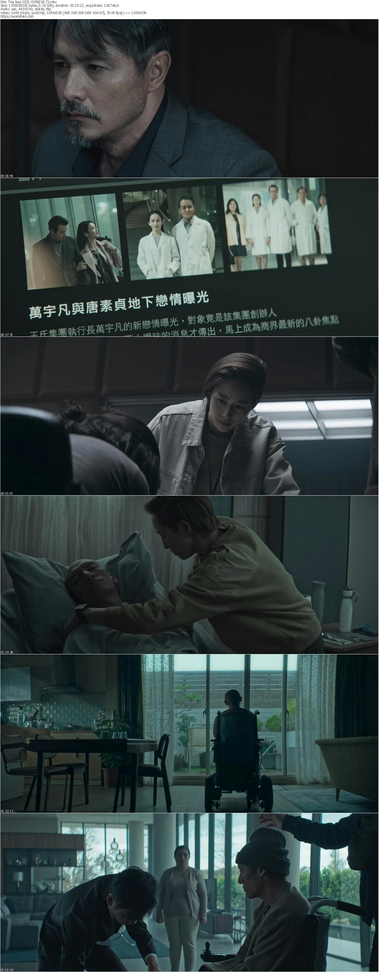 The Soul 2021 CHINESE 720p WEB DL x264 worldmkv