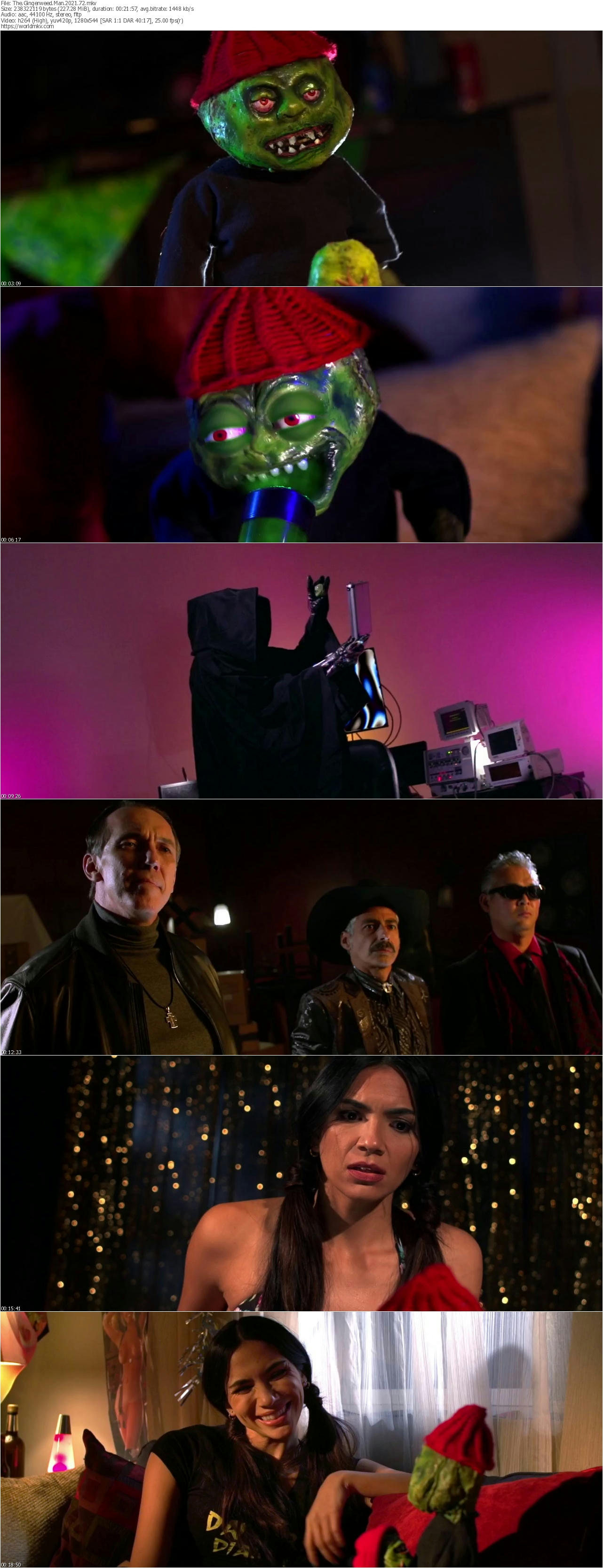 The Gingerweed Man 2021 720p WEB DL x264 worldmkv