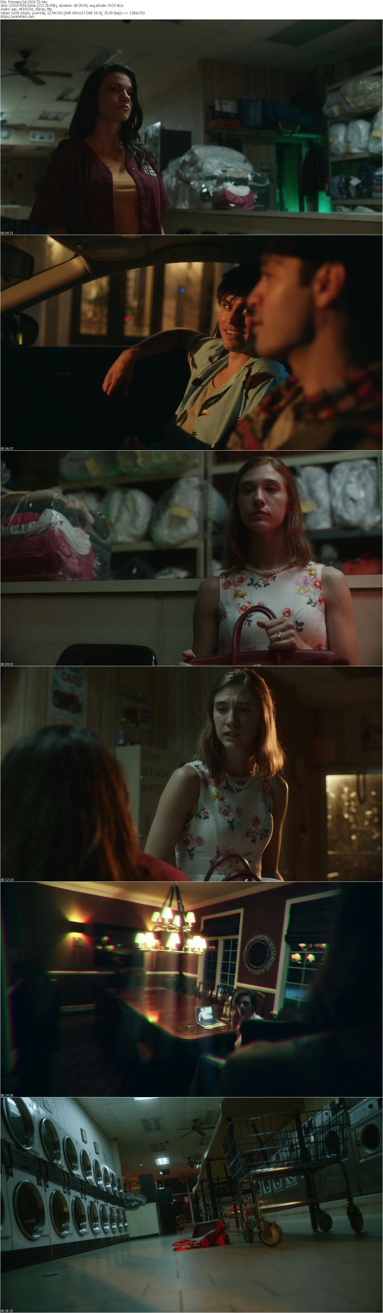 Princess Cut 2020 720p WEB DL x264 worldmkv