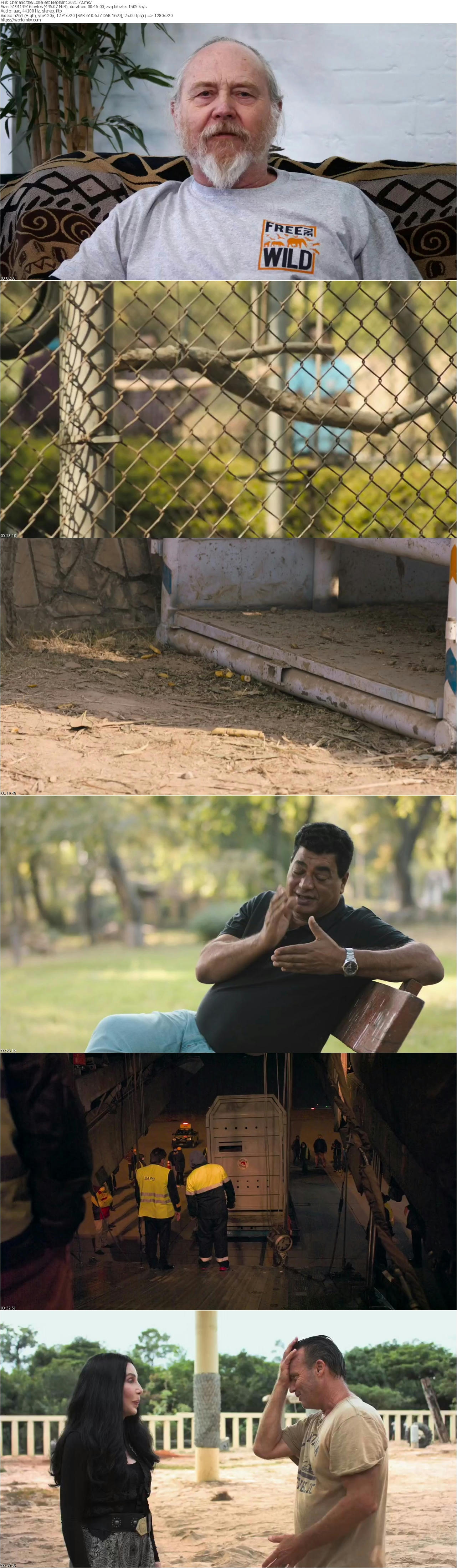 Cher and the Loneliest Elephant 2021 720p WEB DL x264 worldmkv