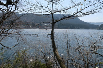 写真（湖畔その2）