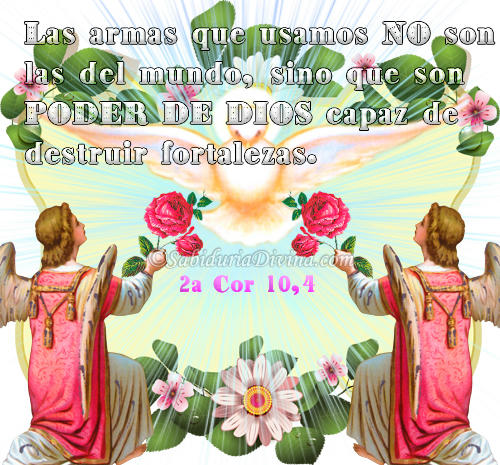My Image 11
