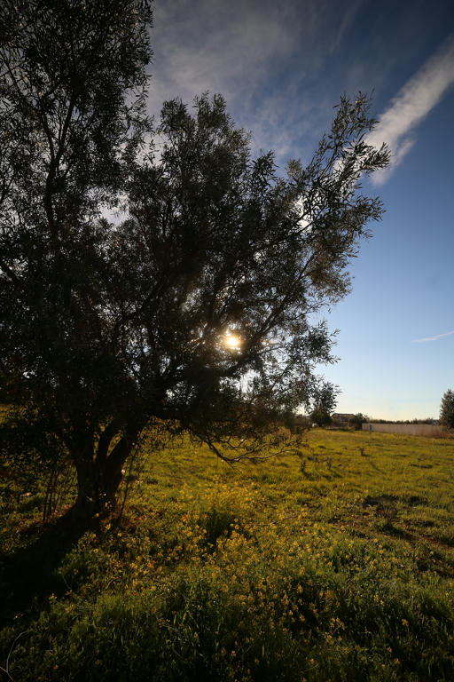 IMAGE: https://www.mediafire.com/convkey/2739/co2bwgjcrjs9s8i6g.jpg