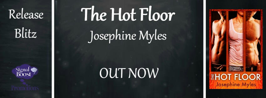 Josephine Myles - The Hot Floor RB Banner
