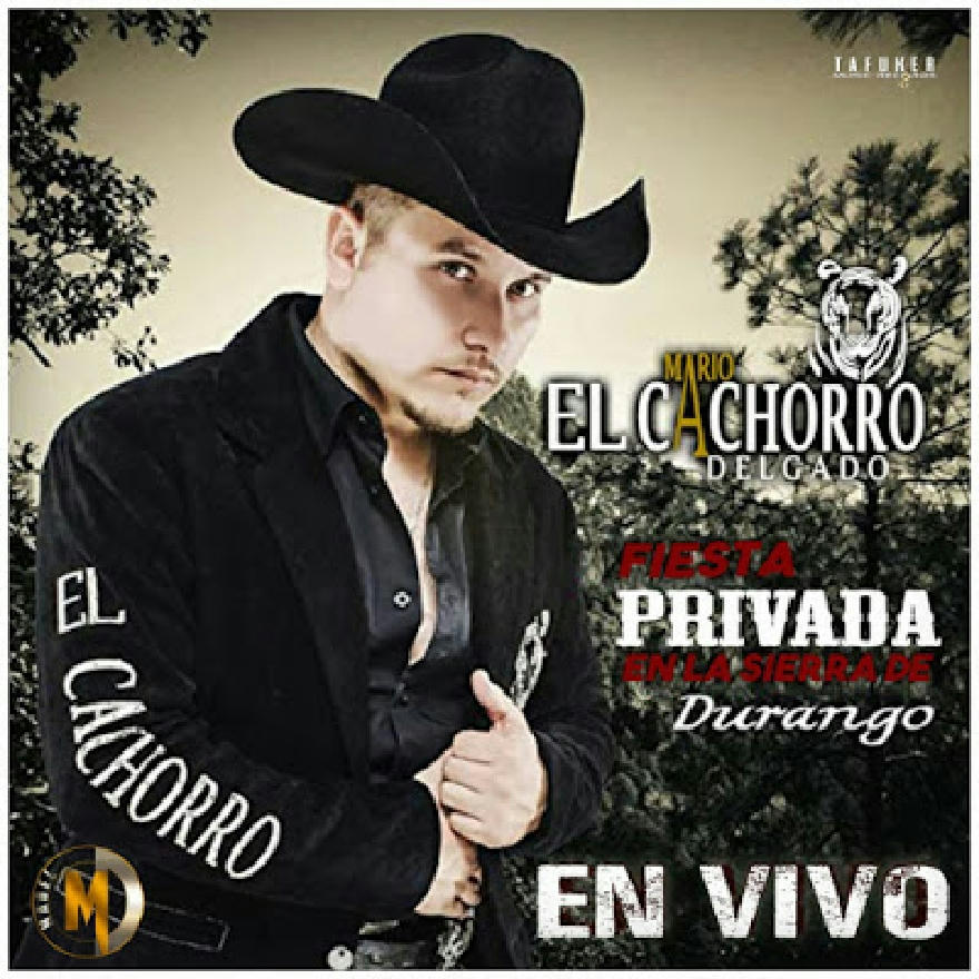 Mario El Cachorro Delgado - Desde La Sierra De Durango (Album)