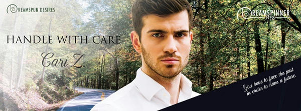 Cari Z. - Handle with Care Banner s