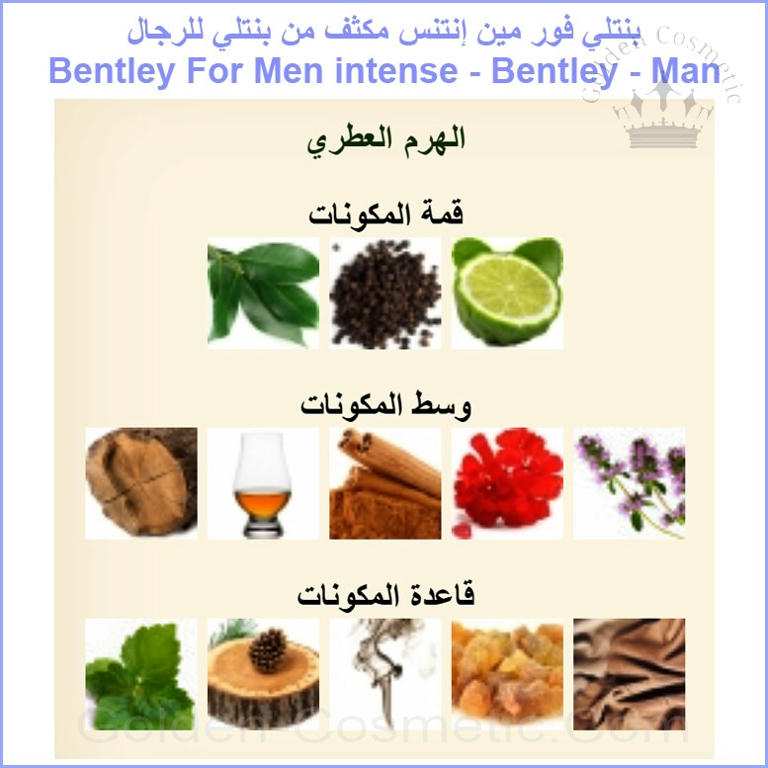 بنتلي فور مين إنتنس مكثف من بنتلي للرجال Bentley For Men intense - Bentley - Man