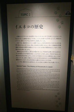 写真（古代DNAその15）