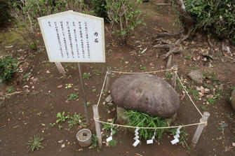 写真（江の島その12）