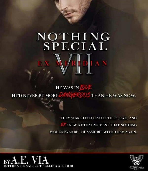 A.E. Via - Nothing Special VII - EX Meridian Teaser 2