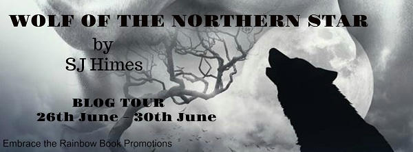 S.J. Himes - Wolf of the Northern Star BT banner