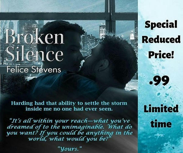 Felice Stevens - Broken Silence Promo