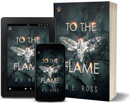 A.E. Ross - To the Flame 3d Promo