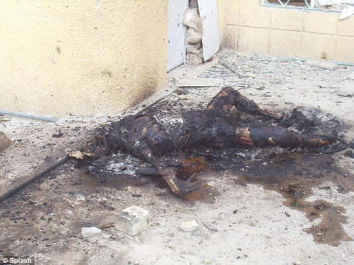 Simple, Free Image and File Hosting at MediaFire