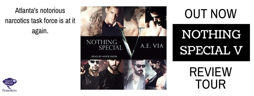 A.E. Via - Nothing Special V Audio RTBANNER-114