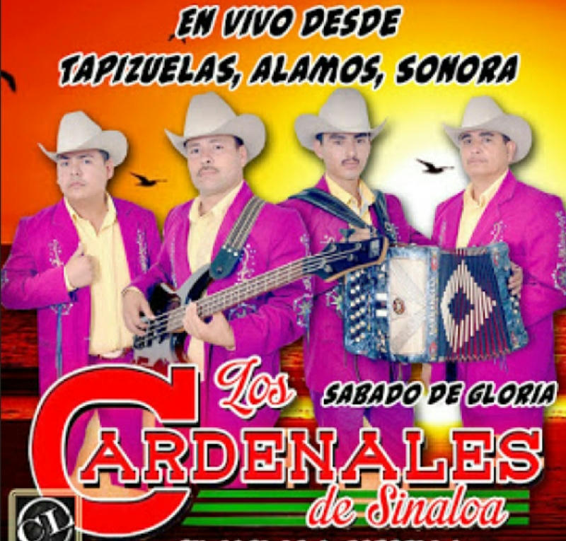 Los Cardenales De Sinaloa - En Vivo Desde Tapizuelas Sonora