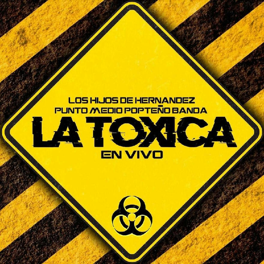 Los Hijos De Hernandez Ft Punto Medio Popteño Banda - La Toxica (SINGLE) 2020