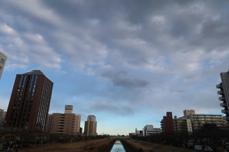 写真(水戸駅前その2)