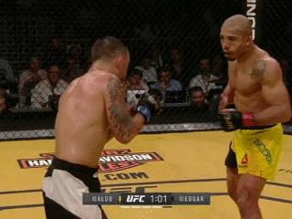 Jose Aldo's Takedown Defense vs Edgar (Gif) | Page 3 | Sherdog ...
