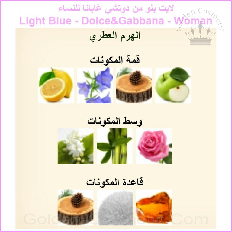 لايت بلو من دوتشي غابانا للنساء Light Blue - Dolce&Gabbana - Woman