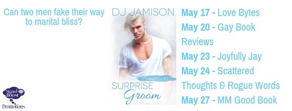 D.J. Jamison - Surprise Groom tourgraphic-24