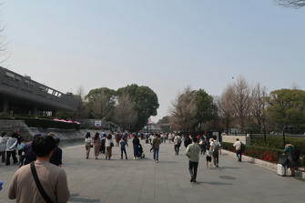 写真（上野公園その1）