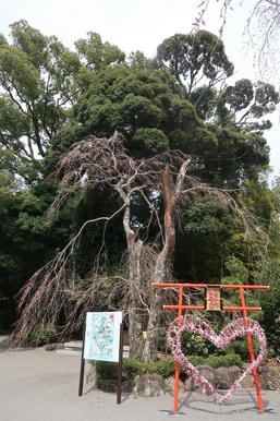 写真（伊豆山神社その14）