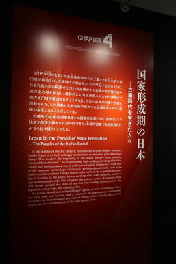 写真（古代DNAその8）