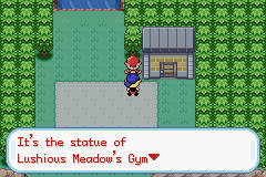 Pokemon Hollow Mysteries