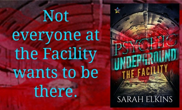 Sarah Elkins - The Facility Graphic
