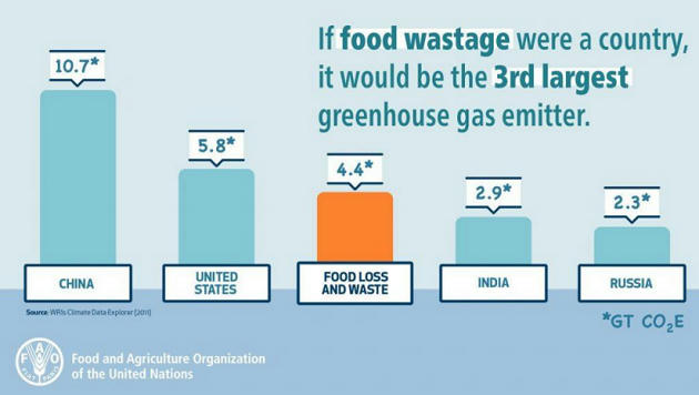 Google scholar picture