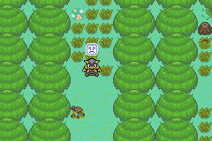 [PokeCommunity.com] Pokémon Adventure - Red Chapter NEW BETA + EXPANSION