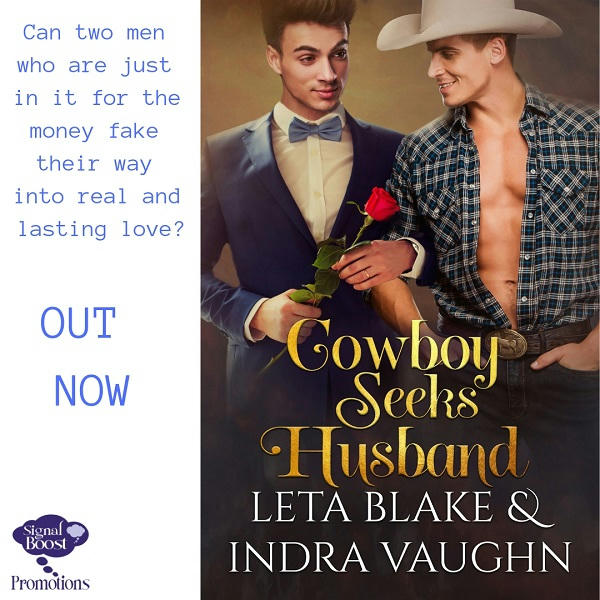 Leta Blake & Indra Vaughn - Cowboy Seeks Husband INSTAPROMO-39