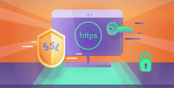 اطلاعات بیشتر در مورد "افزونه گواهینامه امنیتی Really Simple SSL Pro"