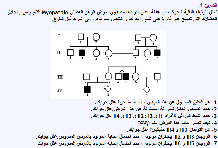 الجيريا