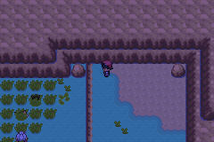 [PokeCommunity.com] Pokémon Adventure - Red Chapter NEW BETA + EXPANSION