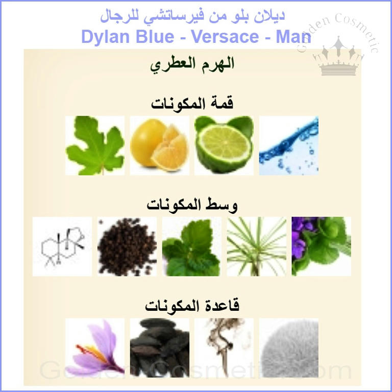 ديلان بلو من فيرساتشي للرجال Dylan Blue - Versace - Man